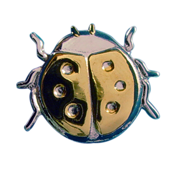 Sincere Thoughts Ladybug Pin