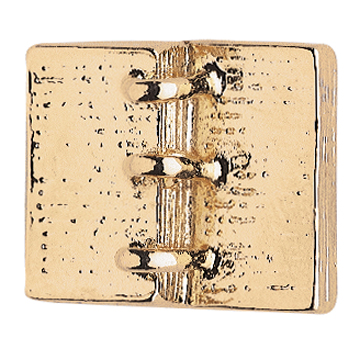 Golden Plates Pin